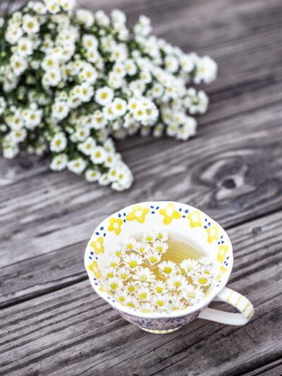 Chill Bru Tea-Zahn (Herbal Tea) (45g)